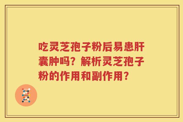 吃灵芝孢子粉后易患肝囊肿吗？解析灵芝孢子粉的作用和副作用？