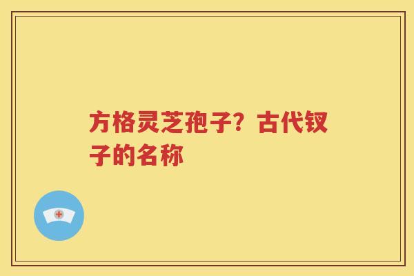 方格灵芝孢子？古代钗子的名称