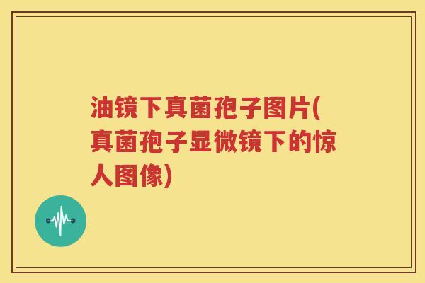 油镜下真菌孢子图片(真菌孢子显微镜下的惊人图像)