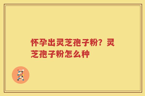 怀孕出灵芝孢子粉？灵芝孢子粉怎么种
