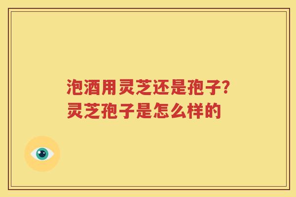 泡酒用灵芝还是孢子？灵芝孢子是怎么样的