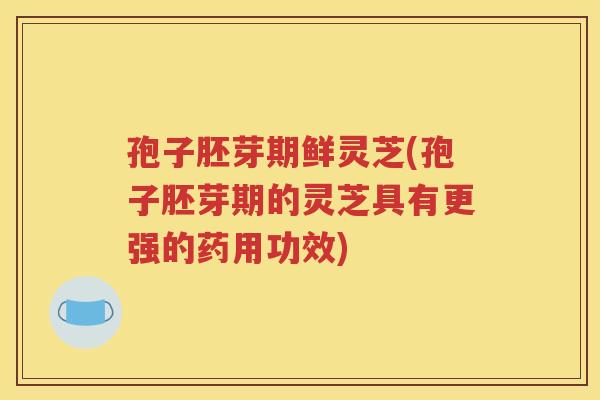 孢子胚芽期鲜灵芝(孢子胚芽期的灵芝具有更强的药用功效)