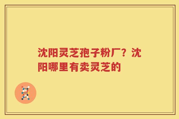 沈阳灵芝孢子粉厂？沈阳哪里有卖灵芝的
