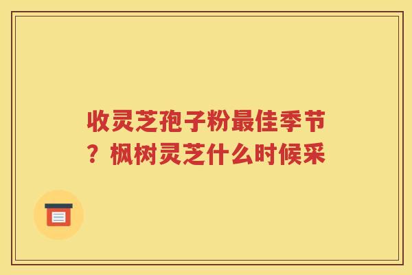 收灵芝孢子粉最佳季节？枫树灵芝什么时候采