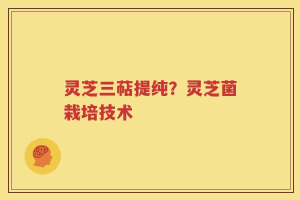 灵芝三萜提纯？灵芝菌栽培技术
