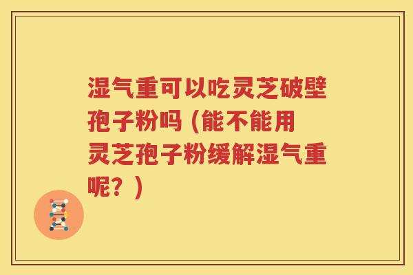 湿气重可以吃灵芝破壁孢子粉吗 (能不能用灵芝孢子粉缓解湿气重呢？)