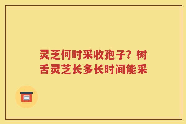 灵芝何时采收孢子？树舌灵芝长多长时间能采
