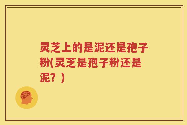 灵芝上的是泥还是孢子粉(灵芝是孢子粉还是泥？)