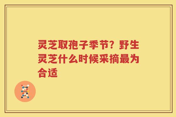灵芝取孢子季节？野生灵芝什么时候采摘最为合适
