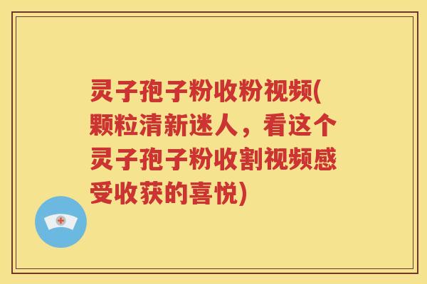 灵子孢子粉收粉视频(颗粒清新迷人，看这个灵子孢子粉收割视频感受收获的喜悦)