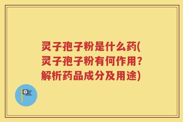 灵子孢子粉是什么药(灵子孢子粉有何作用？解析药品成分及用途)
