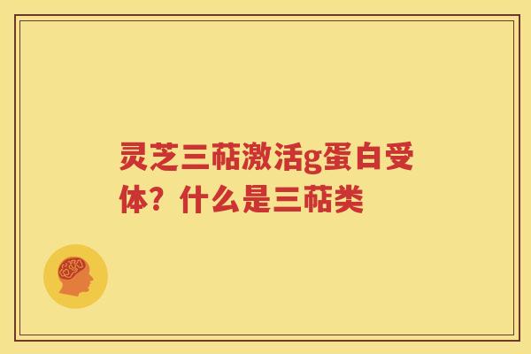 灵芝三萜激活g蛋白受体？什么是三萜类