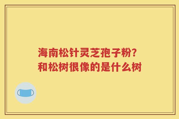 海南松针灵芝孢子粉？和松树很像的是什么树