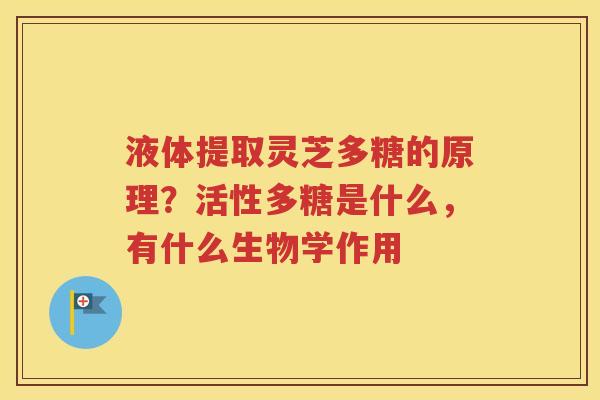 液体提取灵芝多糖的原理？活性多糖是什么，有什么生物学作用
