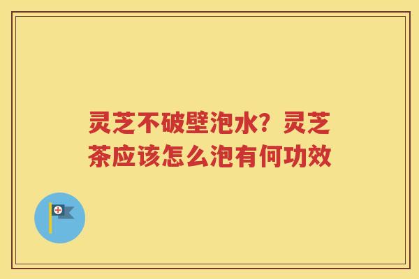 灵芝不破壁泡水？灵芝茶应该怎么泡有何功效