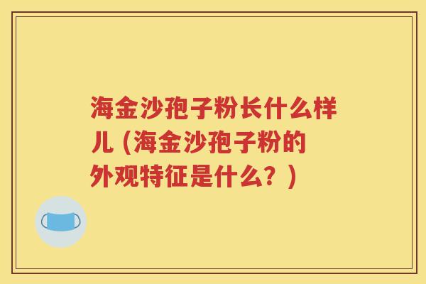 海金沙孢子粉长什么样儿 (海金沙孢子粉的外观特征是什么？)