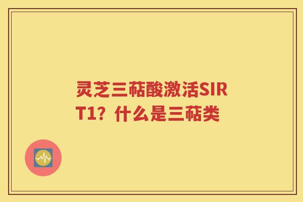 灵芝三萜酸激活SIRT1？什么是三萜类