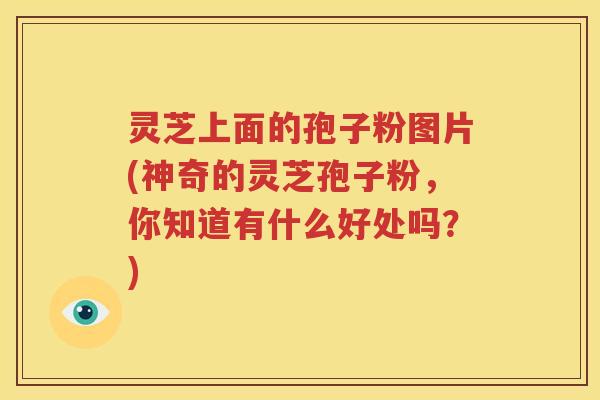 灵芝上面的孢子粉图片(神奇的灵芝孢子粉，你知道有什么好处吗？)
