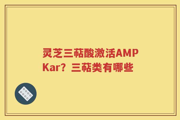 灵芝三萜酸激活AMPKar？三萜类有哪些