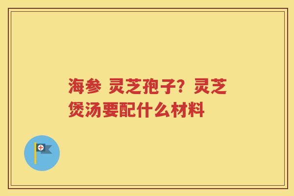 海参 灵芝孢子？灵芝煲汤要配什么材料