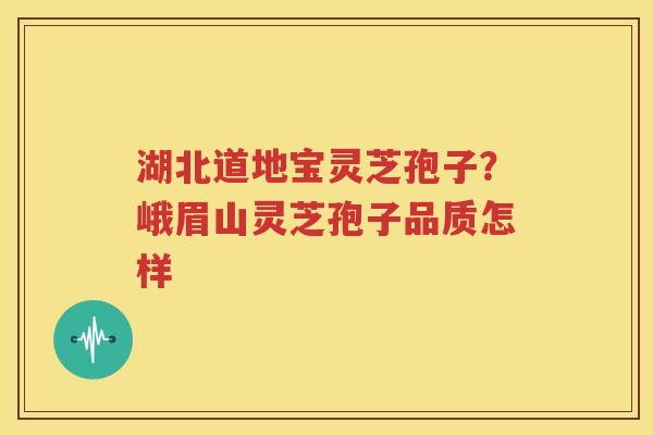 湖北道地宝灵芝孢子？峨眉山灵芝孢子品质怎样