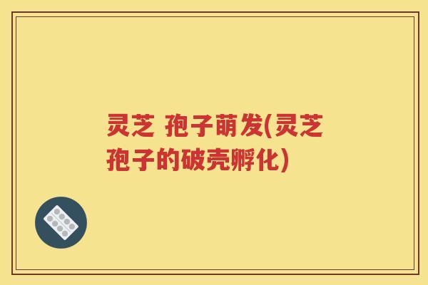 灵芝 孢子萌发(灵芝孢子的破壳孵化)
