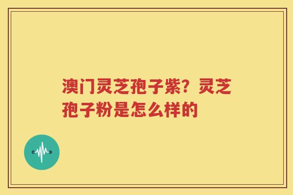 澳门灵芝孢子紫？灵芝孢子粉是怎么样的