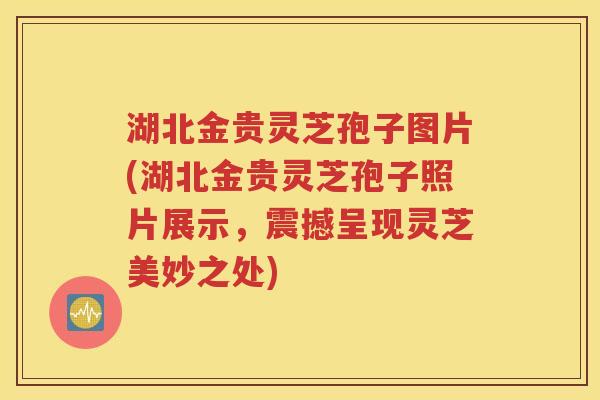 湖北金贵灵芝孢子图片(湖北金贵灵芝孢子照片展示，震撼呈现灵芝美妙之处)