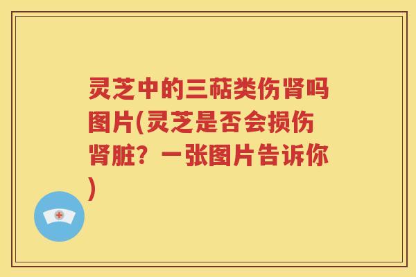 灵芝中的三萜类伤肾吗图片(灵芝是否会损伤肾脏？一张图片告诉你)