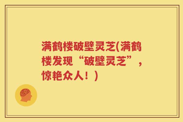 满鹤楼破壁灵芝(满鹤楼发现“破壁灵芝”，惊艳众人！)