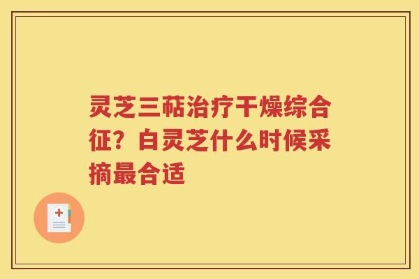 灵芝三萜治疗干燥综合征？白灵芝什么时候采摘最合适