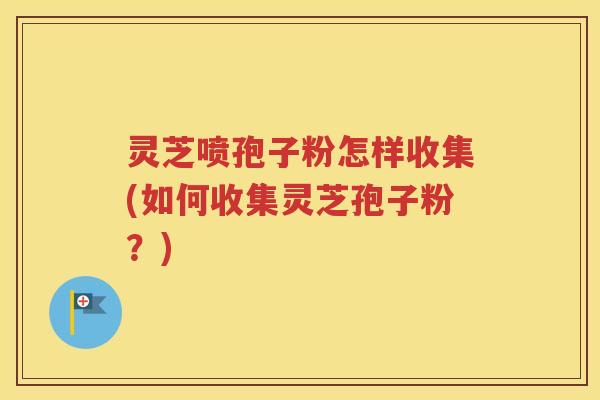 灵芝喷孢子粉怎样收集(如何收集灵芝孢子粉？)