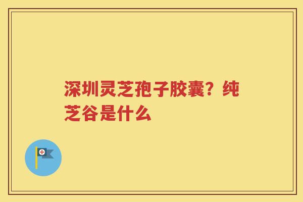 深圳灵芝孢子胶囊？纯芝谷是什么
