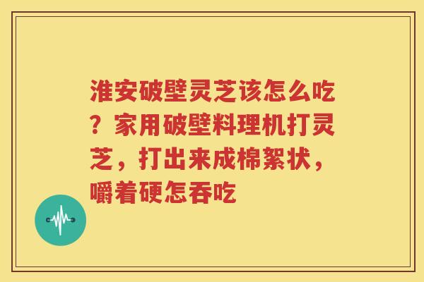 淮安破壁灵芝该怎么吃？家用破壁料理机打灵芝，打出来成棉絮状，嚼着硬怎吞吃