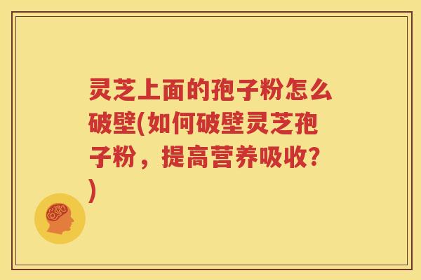 灵芝上面的孢子粉怎么破壁(如何破壁灵芝孢子粉，提高营养吸收？)