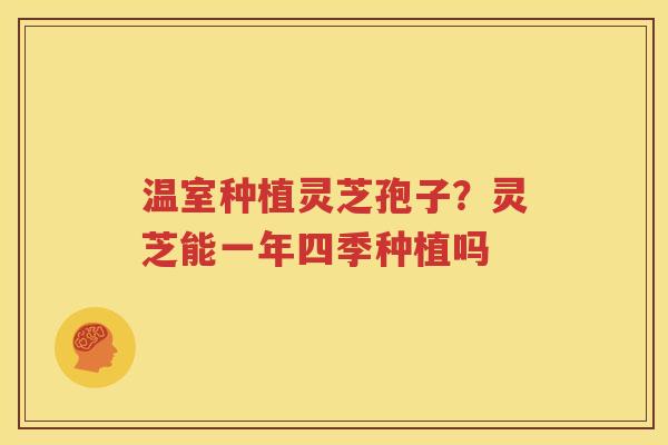温室种植灵芝孢子？灵芝能一年四季种植吗