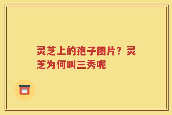 灵芝上的孢子图片？灵芝为何叫三秀呢