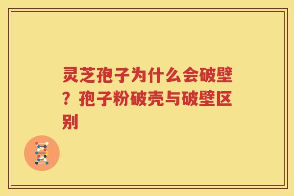 灵芝孢子为什么会破壁？孢子粉破壳与破壁区别