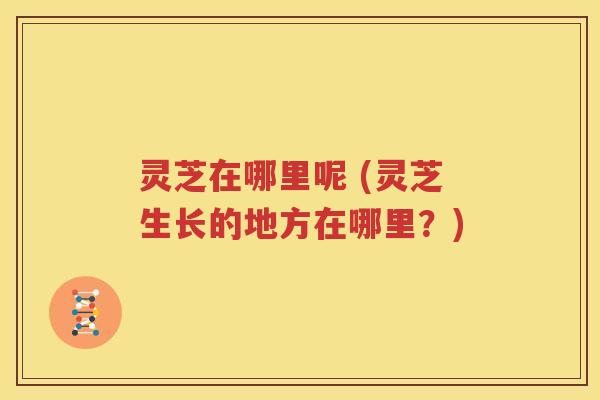 灵芝在哪里呢 (灵芝生长的地方在哪里？)