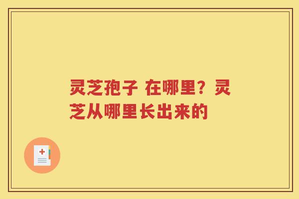 灵芝孢子 在哪里？灵芝从哪里长出来的