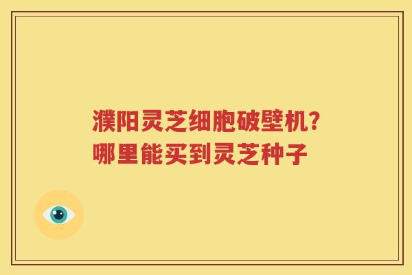 濮阳灵芝细胞破壁机？哪里能买到灵芝种子