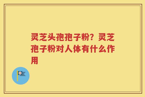 灵芝头孢孢子粉？灵芝孢子粉对人体有什么作用