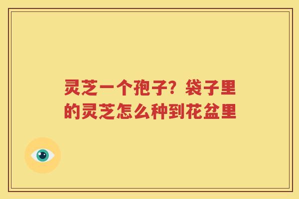灵芝一个孢子？袋子里的灵芝怎么种到花盆里
