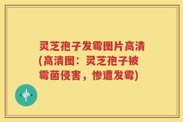 灵芝孢子发霉图片高清(高清图：灵芝孢子被霉菌侵害，惨遭发霉)