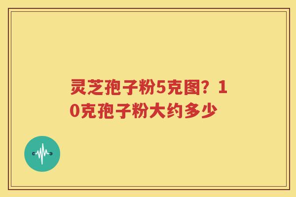 灵芝孢子粉5克图？10克孢子粉大约多少