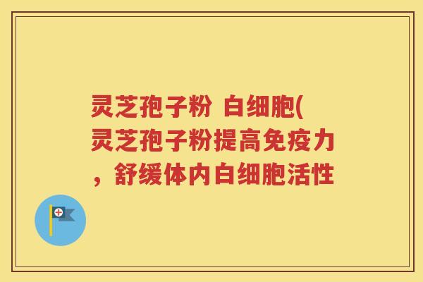 灵芝孢子粉 白细胞(灵芝孢子粉提高免疫力，舒缓体内白细胞活性