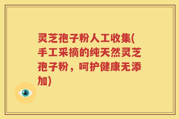 灵芝孢子粉人工收集(手工采摘的纯天然灵芝孢子粉，呵护健康无添加)