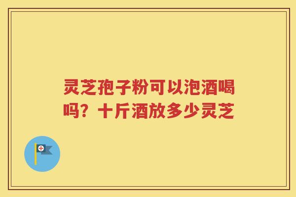 灵芝孢子粉可以泡酒喝吗？十斤酒放多少灵芝
