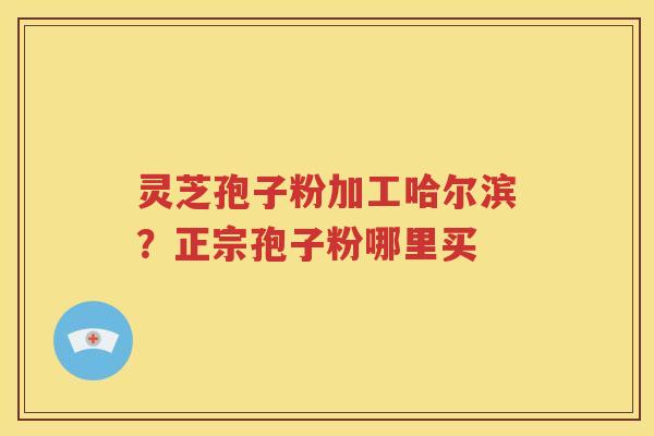 灵芝孢子粉加工哈尔滨？正宗孢子粉哪里买