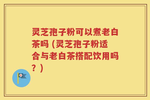 灵芝孢子粉可以煮老白茶吗 (灵芝孢子粉适合与老白茶搭配饮用吗？)